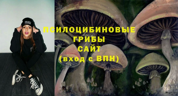 индика Остров