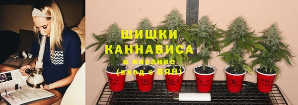 Альфа ПВП Баксан